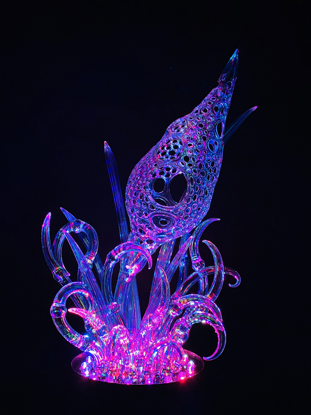 Iridescent Invertebrates